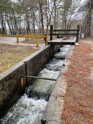 Herring Run