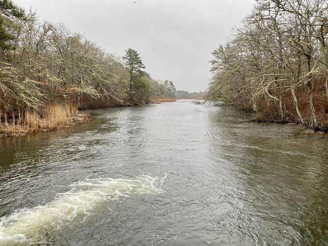 Herring River