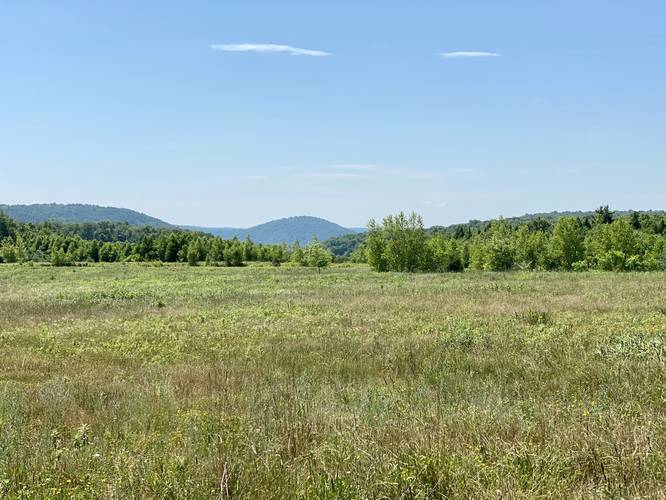 Open field views near creek restoration reservoirs