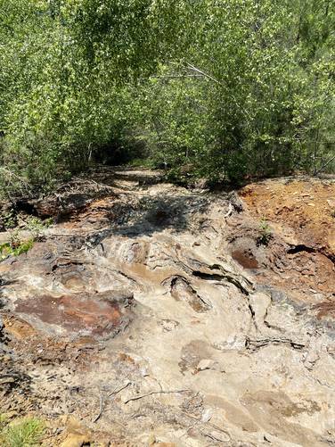Rusty creek bed caused by iron sulfides in the rock reacting with rainwater