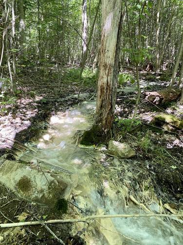 Ghost waters - pH'd water to treat mine runoff