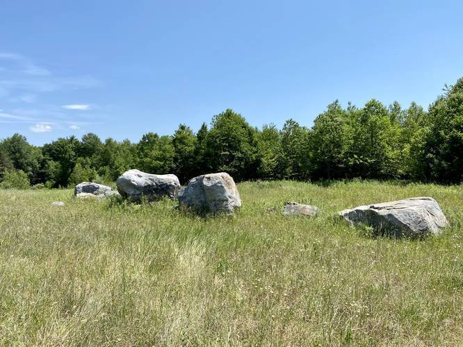 Boulders placed after creek restoration project began