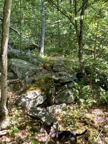 Hiking over rock crevasse along Mid State Trail