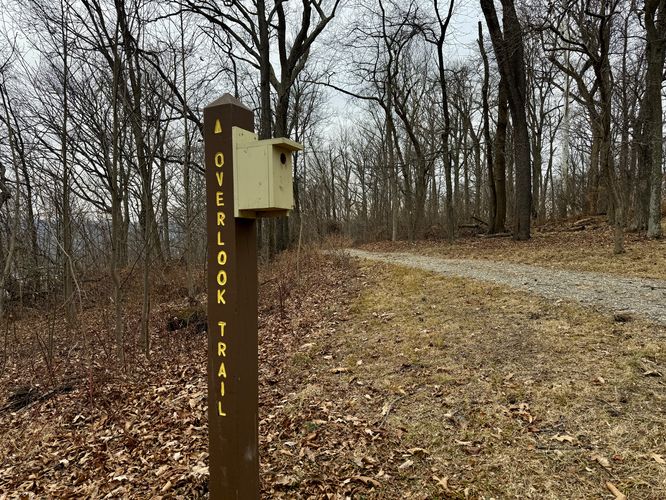 Follow the Overlook Trail signs to reach Wissler Run Overlook