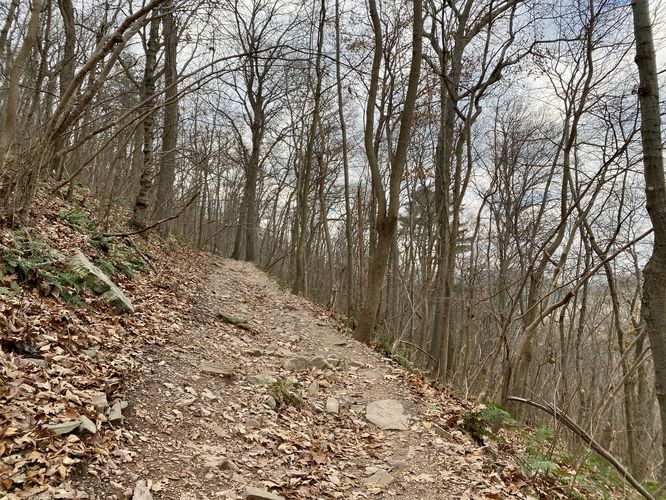 Dirt pathway of the Appalachian Trail (AT) as it ascends Hawk Rock Mountain