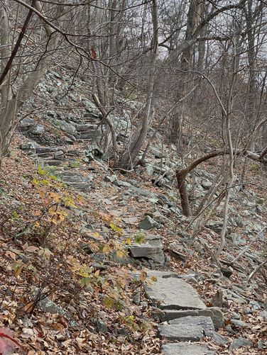 Rock steps define the Appalachian Trail along Hawk Rock Mountain