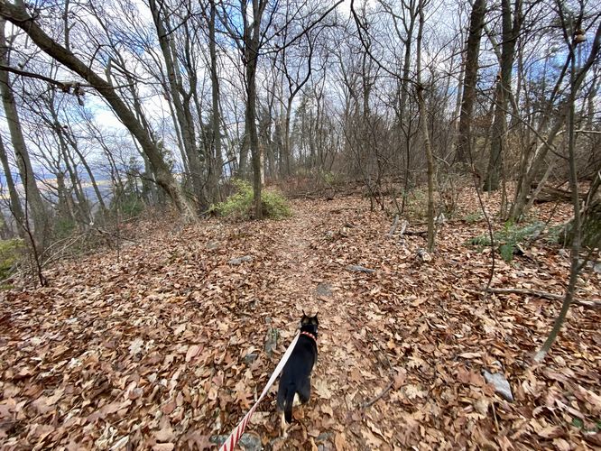 Hiking the mountain top ridge of Hawk Rock Mountain