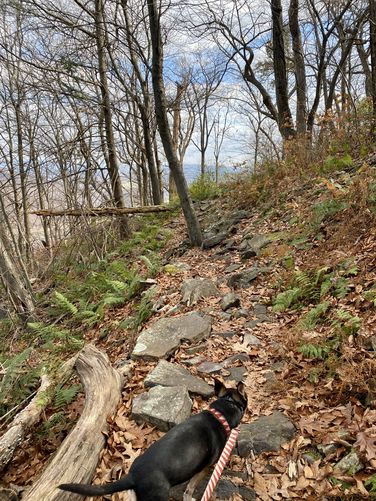 Hiking the rocky trail to Eagles Edge Vista