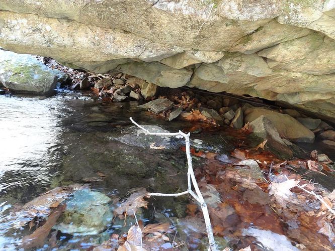 Picture 5 of Hawksbill Franklin Cliffs Hike 112511
