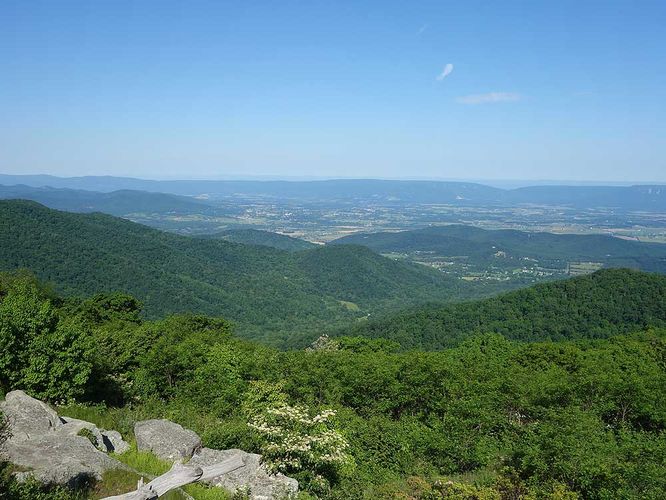 Picture 3 of Hawksbill Mountain and Timber Hollow Hike 060317