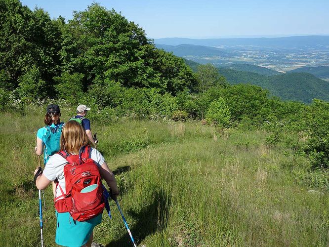 Picture 4 of Hawksbill Mountain and Timber Hollow Hike 060317