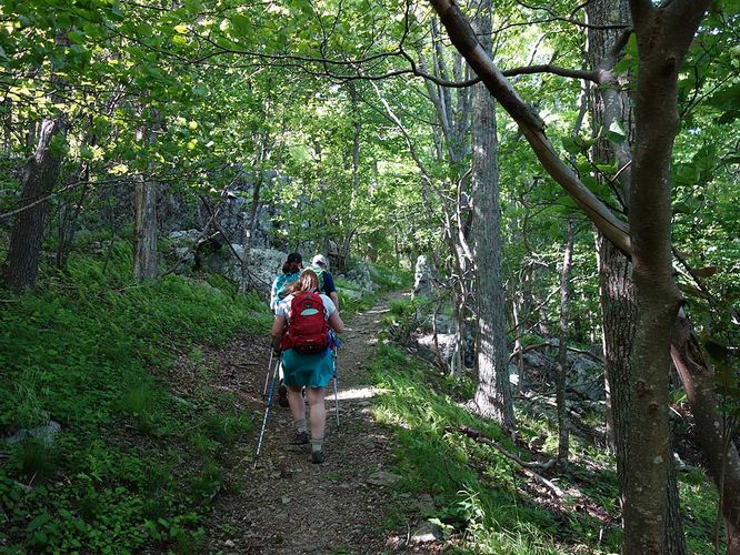 Picture 5 of Hawksbill Mountain and Timber Hollow Hike 060317