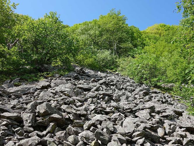 Picture 8 of Hawksbill Mountain and Timber Hollow Hike 060317