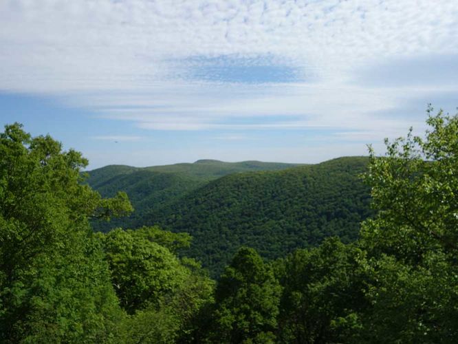 Picture 9 of Hawksbill Mountain and Timber Hollow Hike 060317