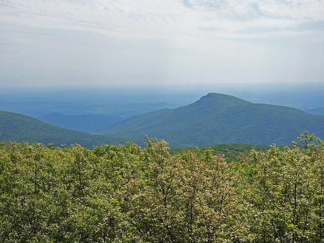Default image for Hawksbill Mountain and Timber Hollow Hike, a 5.3-mile trail in Luray, VA (US)
