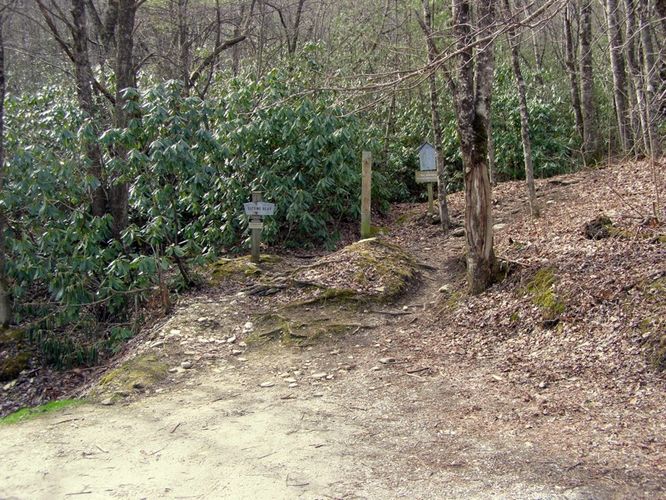 Picture 4 of Hawksbill Mtn Sitting Bear Mtn Devils Hole 031515
