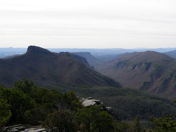 Picture 11 of Hawksbill Mtn Sitting Bear Mtn Devils Hole 031515
