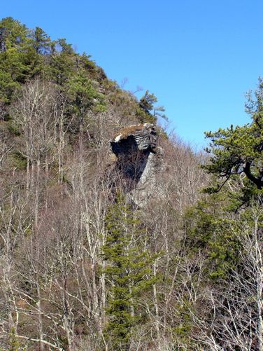Picture 30 of Hawksbill Mtn Sitting Bear Mtn Devils Hole 031515