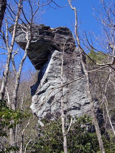 Picture 32 of Hawksbill Mtn Sitting Bear Mtn Devils Hole 031515
