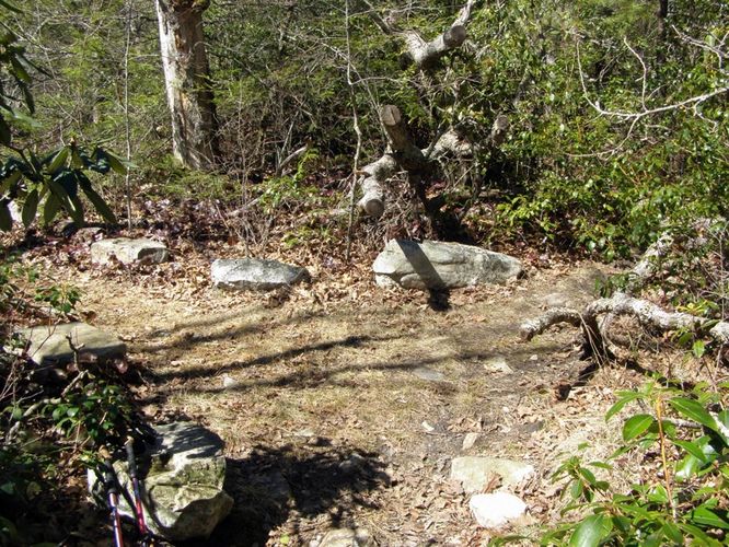 Picture 39 of Hawksbill Mtn Sitting Bear Mtn Devils Hole 031515
