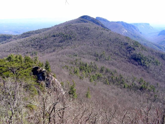 Picture 49 of Hawksbill Mtn Sitting Bear Mtn Devils Hole 031515