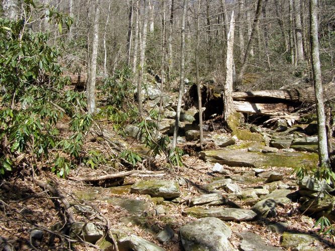 Picture 51 of Hawksbill Mtn Sitting Bear Mtn Devils Hole 031515