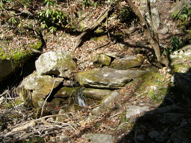 Picture 52 of Hawksbill Mtn Sitting Bear Mtn Devils Hole 031515