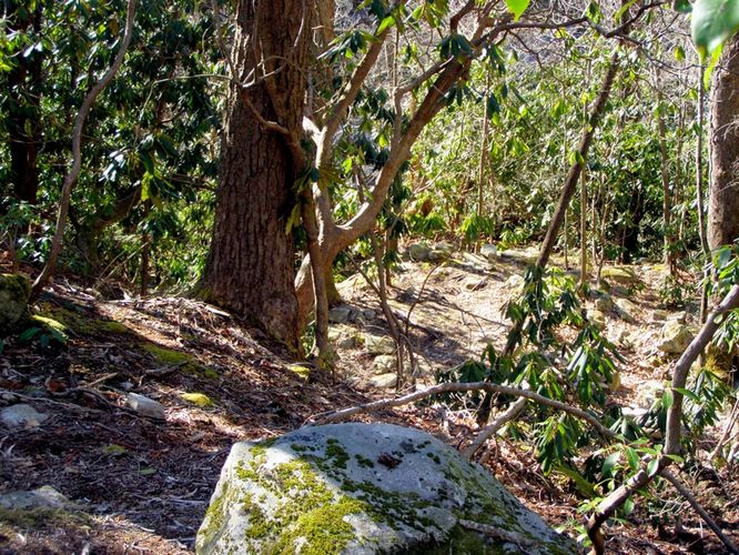 Picture 65 of Hawksbill Mtn Sitting Bear Mtn Devils Hole 031515