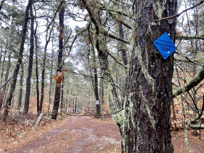 Trailhead leads to Hawksnest Pond