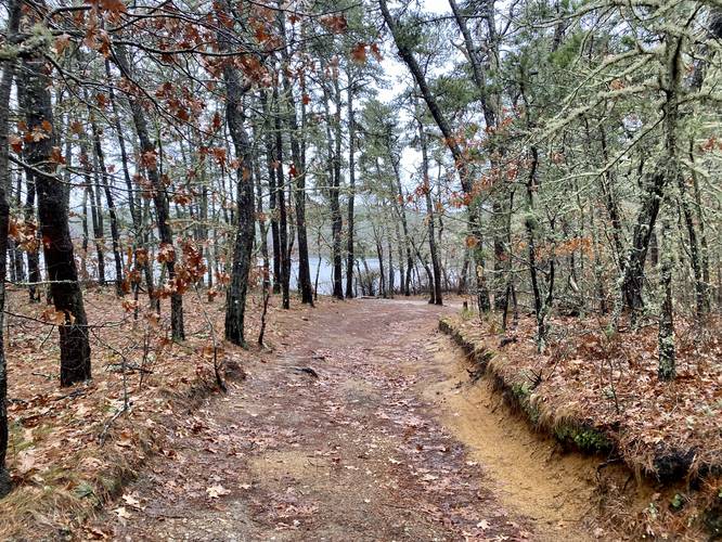 Hiking the Hawksnest Pond boat launch trail