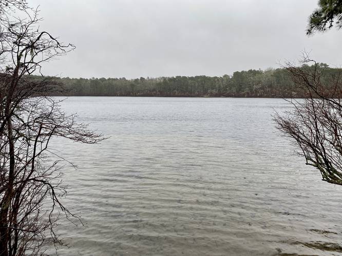 View of Hawksnest Pond