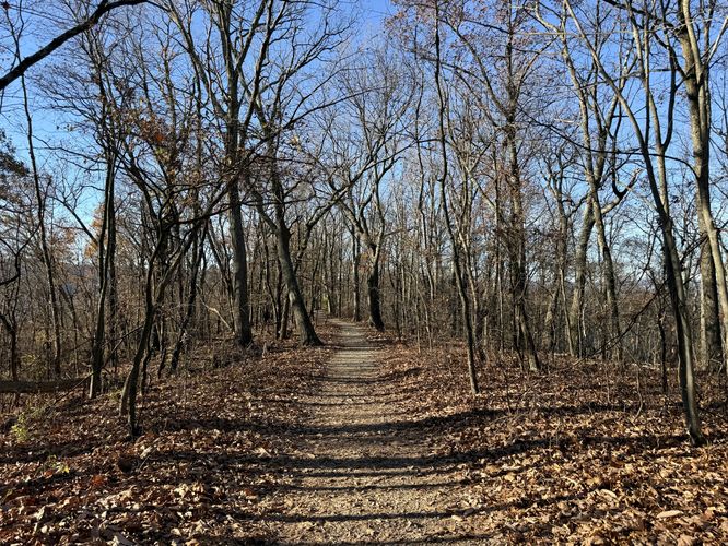 Flat dirt trail leads to Hawn's Overlook
