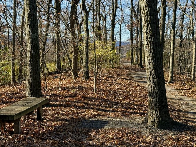 Bench