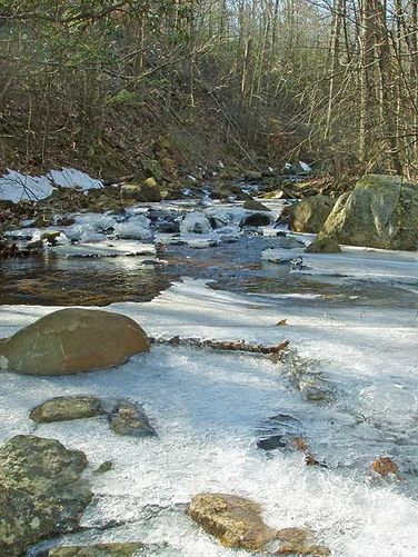 Picture 2 of Hazel River Hike 021205