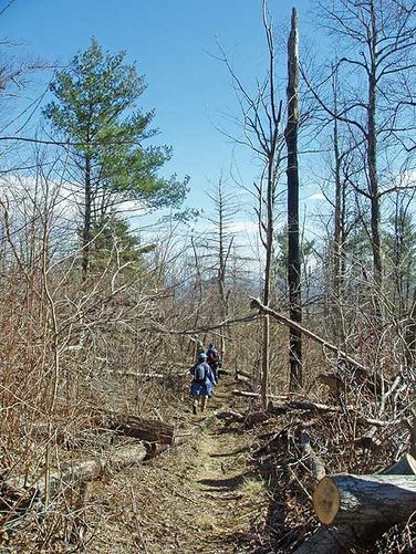 Picture 4 of Hazel River Hike 021205