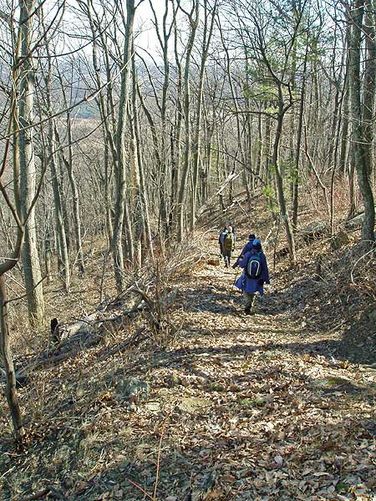 Picture 6 of Hazel River Hike 021205
