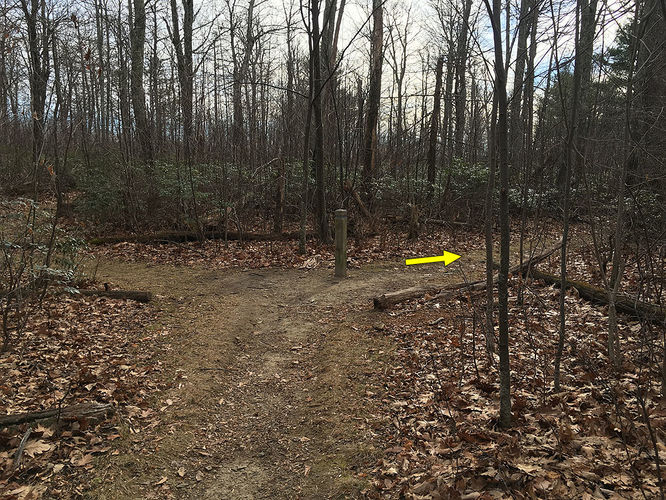 Picture 4 of Hazel River Hike 112715