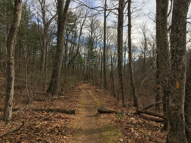 Picture 6 of Hazel River Hike 112715