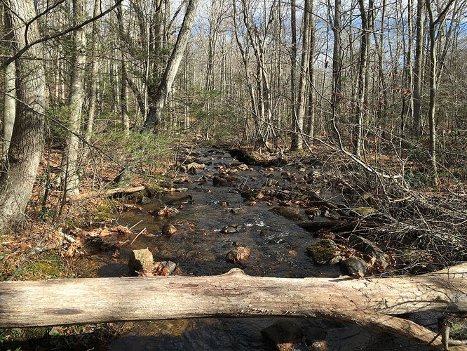 Picture 13 of Hazel River Hike 112715
