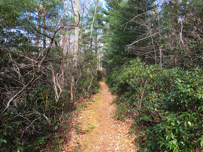 Picture 16 of Hazel River Hike 112715