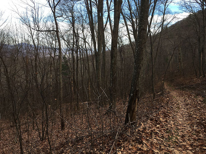 Picture 17 of Hazel River Hike 112715