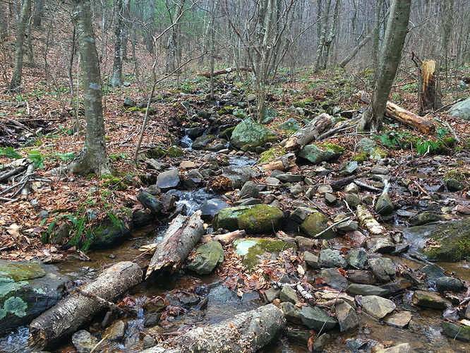 Picture 19 of Hazel River Hike 112715