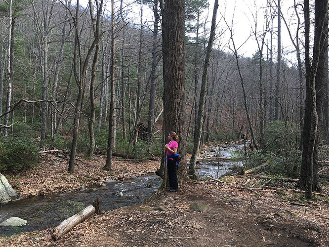 Picture 22 of Hazel River Hike 112715