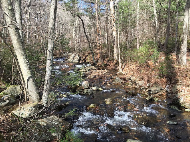 Picture 23 of Hazel River Hike 112715