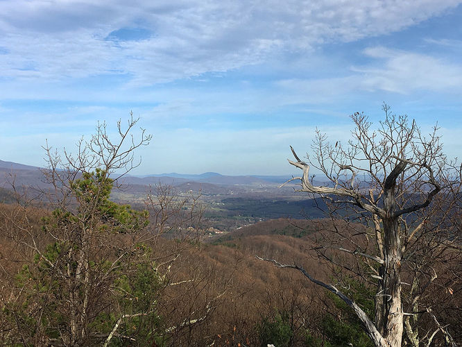 Default image for Hazel River Hike, a 8.7-mile trail in Sperryville, VA (US)