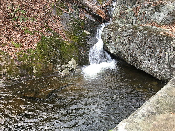 Picture 29 of Hazel River Hike 112715