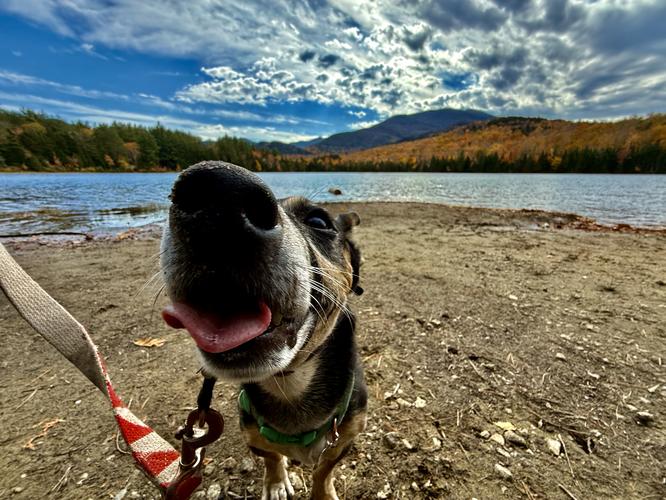 Jax loves Heart Lake!