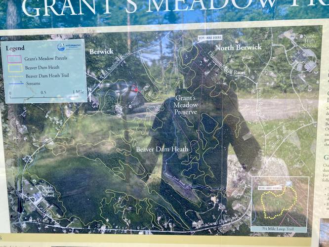 Grant's Meadow Preserve trail map