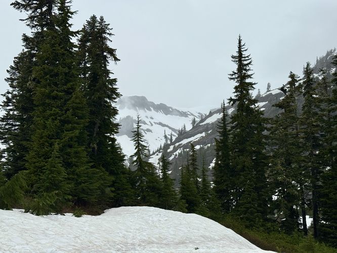 Picture 3 of Heather Meadows and Bagley Lakes Hike