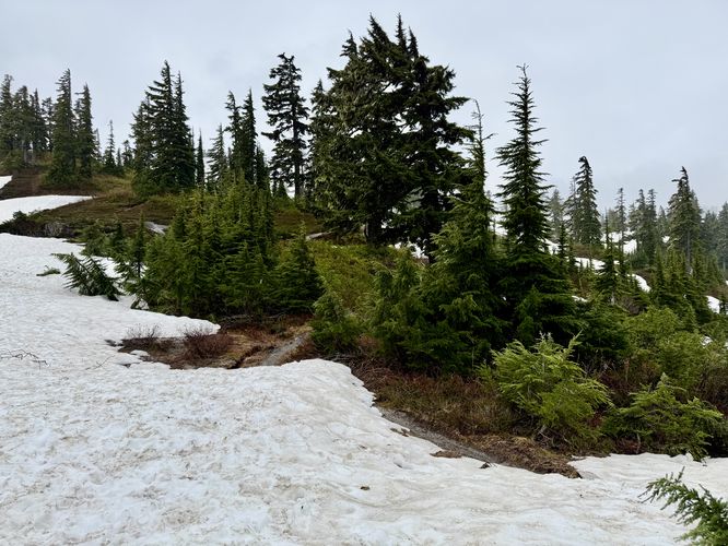 Picture 4 of Heather Meadows and Bagley Lakes Hike